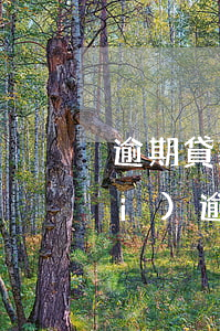 逾期貸款怎么調(diào)整分類(lèi)(逾期貸款科目)
