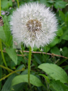 逾期貸款怎么辦(貸款逾期怎么辦?)