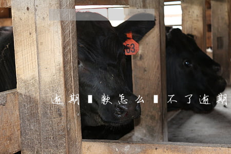 逾期貸款怎么還不了(逾期貸不了款怎么辦)