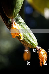 逾期貸款應(yīng)付利息分錄(逾期貸款罰息會計分錄)