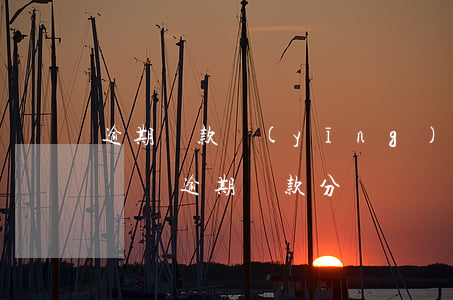逾期貸款應(yīng)計入哪個科目(銀行會計逾期貸款分錄)