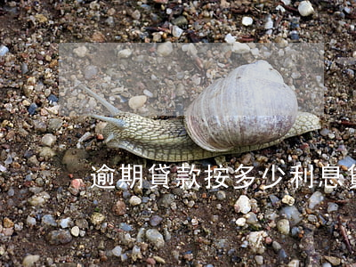 逾期貸款按多少利息(貸款利息多久算逾期嗎)