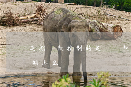 逾期貸款控制的建議(貸款嚴(yán)重逾期怎么辦)