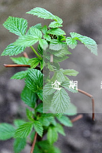 逾期貸款撥備率怎么計算