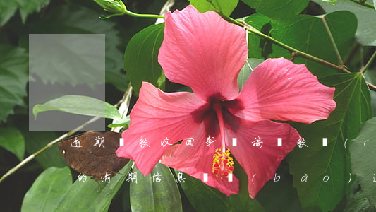 逾期貸款收回新聞稿(貸款產(chǎn)生的逾期信息將報(bào)送)