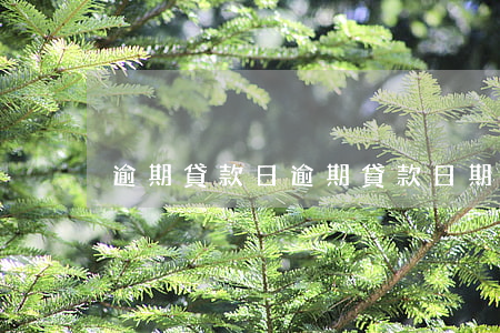 逾期貸款日，逾期貸款日期計算