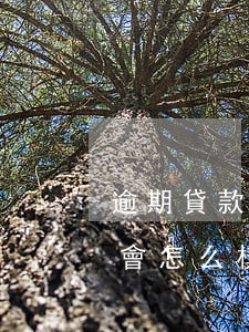 逾期貸款有哪個軟件好用(貸款軟件逾期一天會怎么樣)