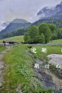 逾期貸款本息是什么意思(本金逾期和利息逾期什么區(qū)別)
