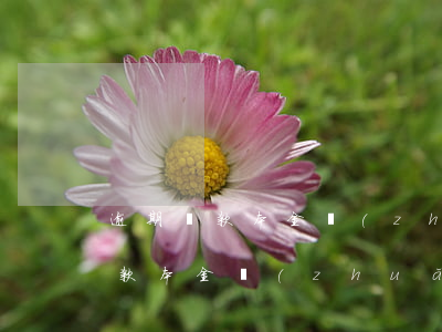 逾期貸款本金轉(zhuǎn)表外(逾期貸款本金轉(zhuǎn)表外)