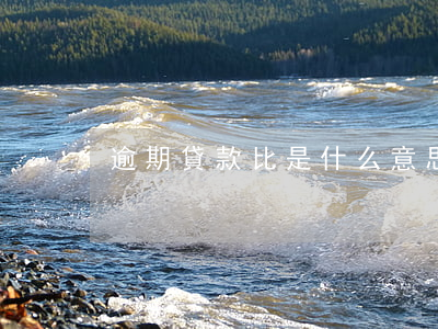 逾期貸款比是什么意思
