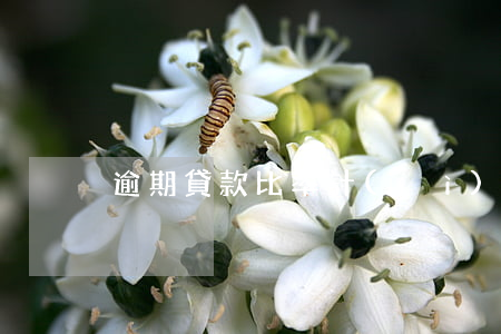 逾期貸款比率計(jì)算