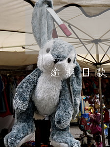 逾期貸款沒(méi)還上啥后果
