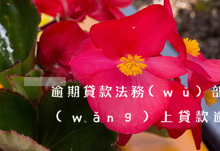 逾期貸款法務(wù)部發(fā)郵件(網(wǎng)上貸款逾期的法律函件)