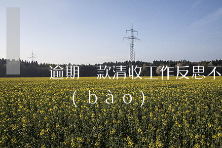 逾期貸款清收工作反思(不良貸款清收工作匯報(bào))