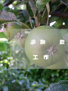 逾期貸款清收工作總結(jié)(催收清欠工作總結(jié))
