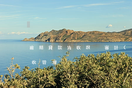 逾期貸款清收跟蹤審計(jì)(逾期賬款催收管理)