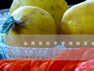 逾期貸款率管理制度(逾期貸款管理措施) 逾期貸款率管理制度(逾期貸款管理措施)