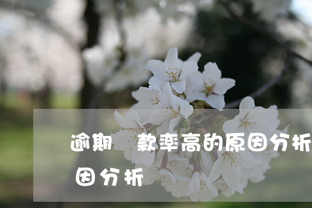 逾期貸款率高的原因分析(逾期貸款率高的原因分析)