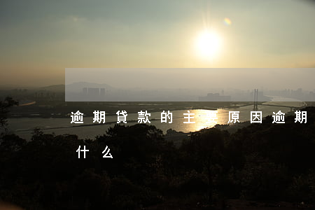 逾期貸款的主要原因 逾期貸款的主要原因是什么
