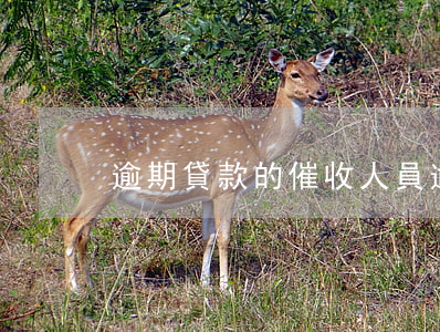 逾期貸款的催收人員(逾期賬款催收管理)