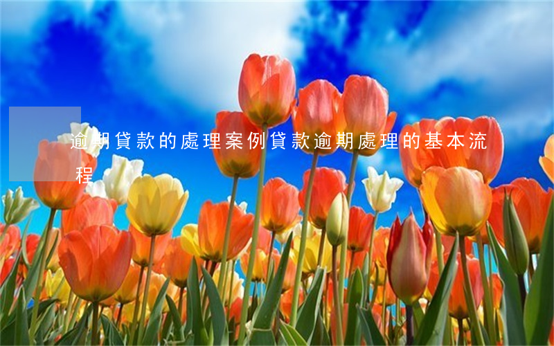 逾期貸款的處理案例(貸款逾期處理的基本流程)
