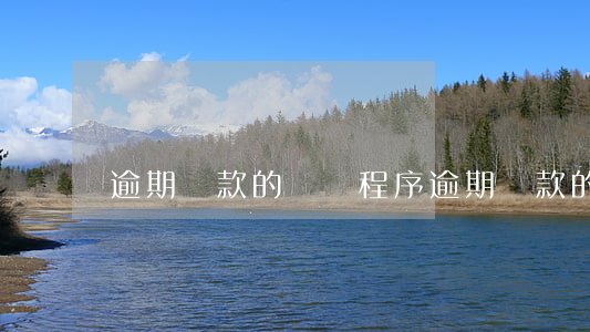 逾期貸款的訴訟程序(逾期貸款的訴訟程序)