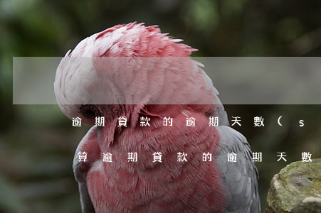 逾期貸款的逾期天數(shù)計(jì)算(逾期貸款的逾期天數(shù)計(jì)算)