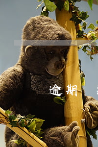 逾期貸款盤活會議記錄(逾期貸款盤活會議記錄)