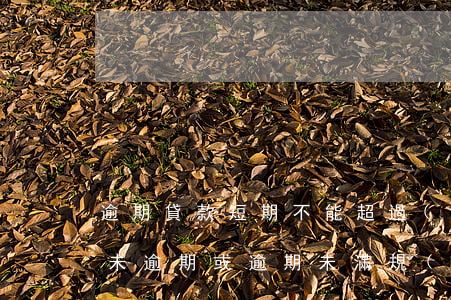 逾期貸款短期不能超過(guò)(如果貸款未逾期,或逾期未滿規(guī)定年限)