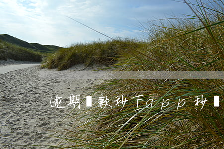 逾期貸款秒下app(秒過的貸款)