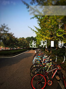 逾期貸款累計(jì)回退率(逾期貸款累計(jì)回退率)