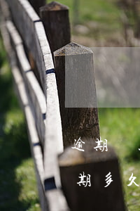 逾期貸款結(jié)清六年黑名單(欠款逾期多久會被列入失信黑名單)