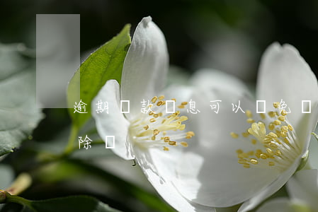 逾期貸款罰息可以減免(銀行貸款罰息可以免除嗎)