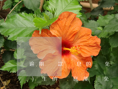 逾期貸款罰息的減免條例(逾期產(chǎn)生的罰息能減免嗎?)
