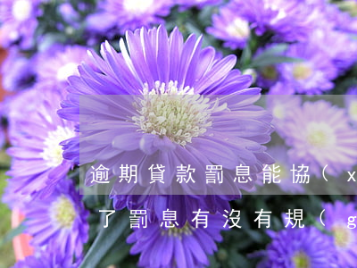 逾期貸款罰息能協(xié)商嗎(貸款逾期了罰息有沒有規(guī)定)