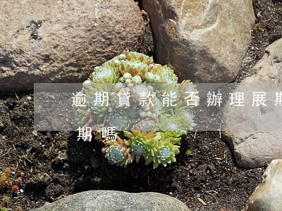 逾期貸款能否辦理展期(信用貸款可以辦理展期嗎)