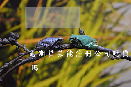 逾期貸款能注冊公司嗎(貸款逾期能注冊法人嗎)