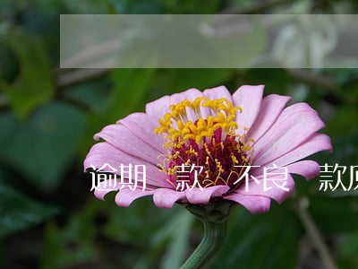 逾期貸款與不良貸款原因和認定標準是什么