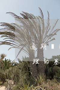 逾期貸款處理工作計(jì)劃(貸款逾期處理的基本流程)