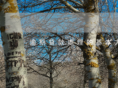 逾期貸款處理的基本方法(逾期貸款管理措施)
