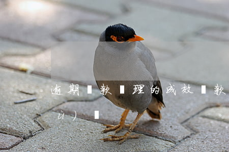 逾期貸款處理的成效(貸款逾期可以修復(fù)嗎)