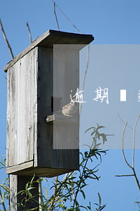 逾期貸款處置方式方法