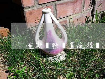 逾期貸款處置流程圖(逾期貸款情況說明)