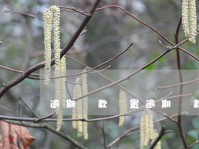 逾期貸款處置 逾期貸款處置方案