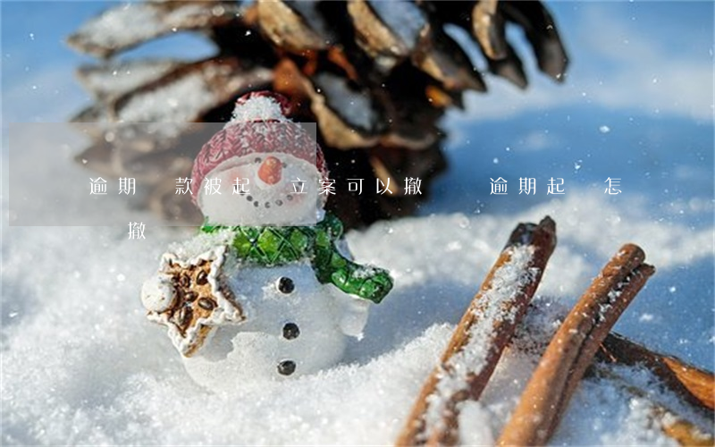 逾期貸款被起訴立案可以撤銷嗎（逾期起訴怎樣撤銷）