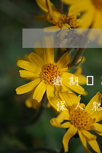 逾期貸款要擔保人簽名嗎(擔保的貸款逾期,擔保人能貸款嗎)