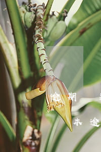 逾期貸款計(jì)提的監(jiān)管資本(逾期貸款計(jì)提的監(jiān)管資本)