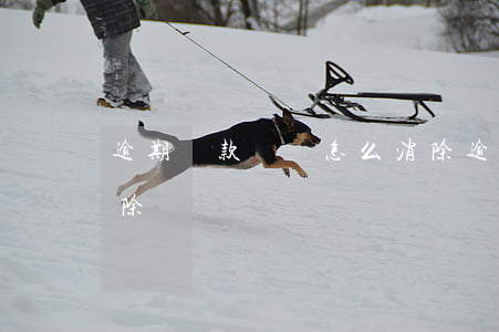 逾期貸款記錄怎么消除(逾期貸款記錄怎么消除)