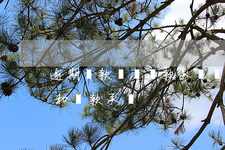 逾期貸款記錄還款承諾書(逾期還款情況說明和還款承諾)