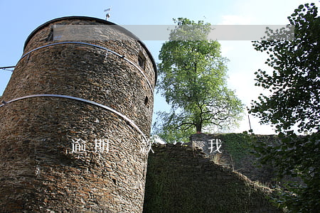 逾期貸款詐騙（我來貸詐騙逾期被起訴怎么辦）